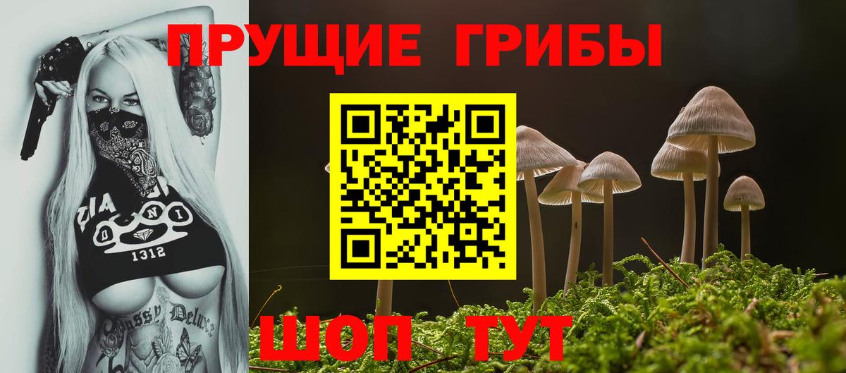 Балашов  Галлюциногенные грибы мицелий  Вход с VPN  даркнет сайт  Псилоцибиновые грибы GOLDEN TEACHER 